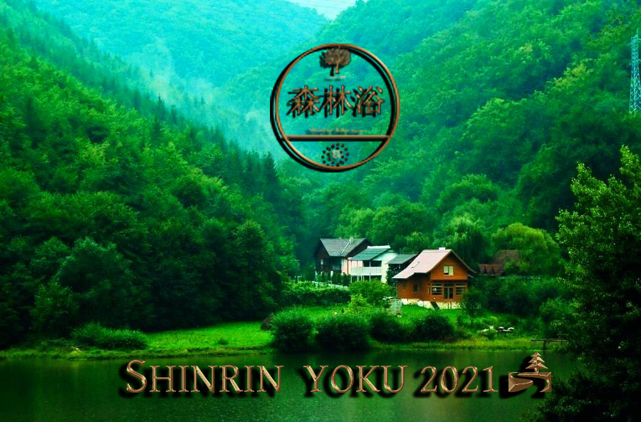 Cursos de formación Internacional Shinrin-Yoku